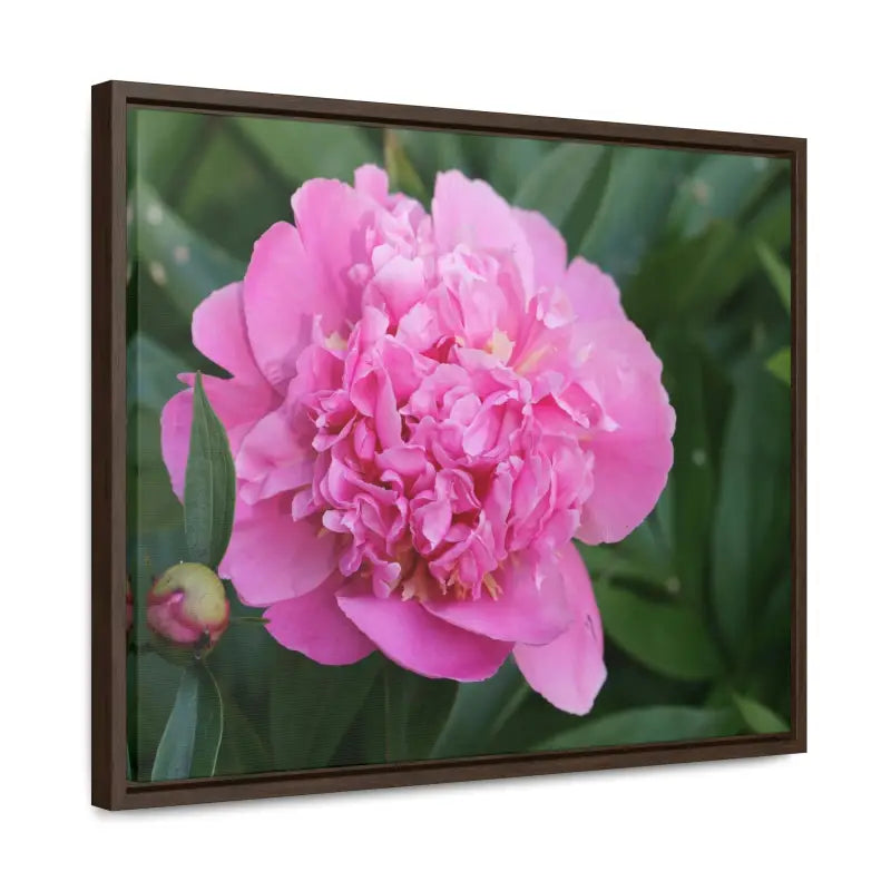 Transform your Space with Pink Peony Gallery Canvas Wraps