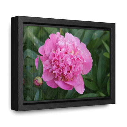 Transform your Space with Pink Peony Gallery Canvas Wraps