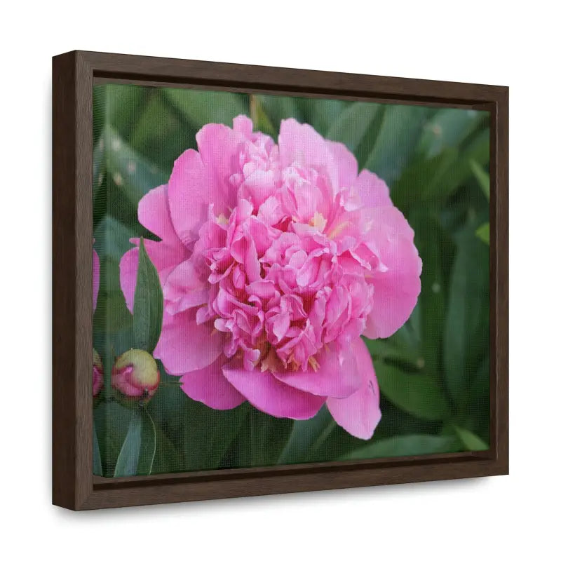 Transform your Space with Pink Peony Gallery Canvas Wraps