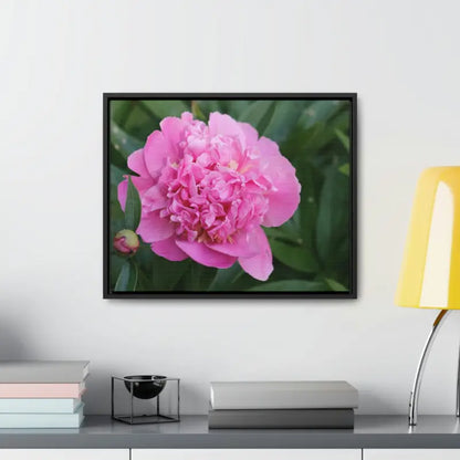 Transform your Space with Pink Peony Gallery Canvas Wraps