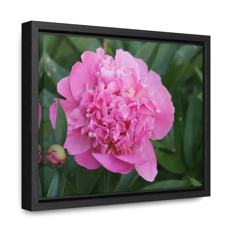 Transform your Space with Pink Peony Gallery Canvas Wraps