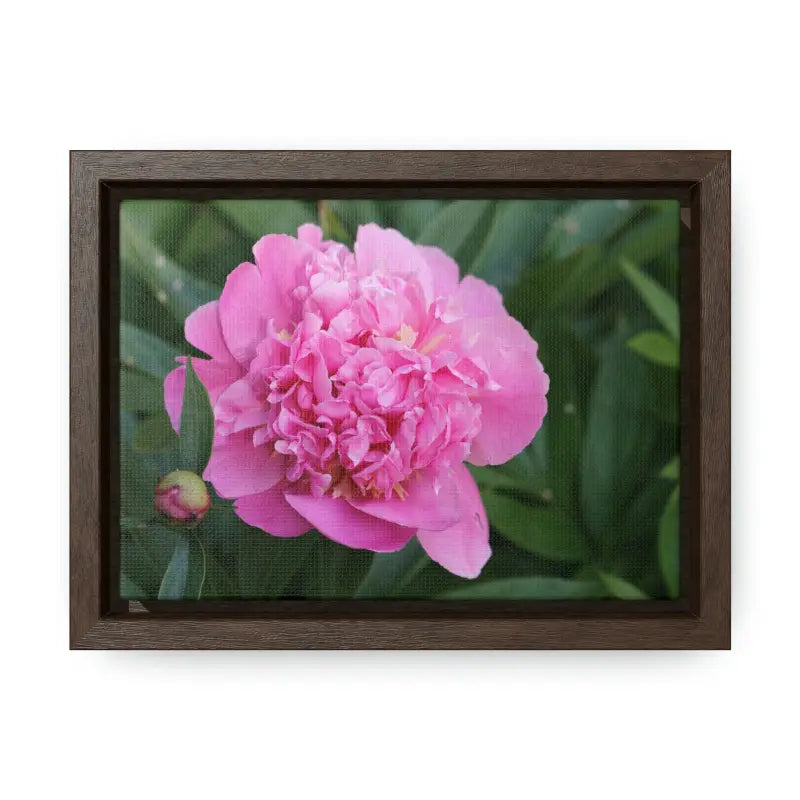 Transform your Space with Pink Peony Gallery Canvas Wraps - 7″ x 5″ / Walnut / Premium (1.25″)