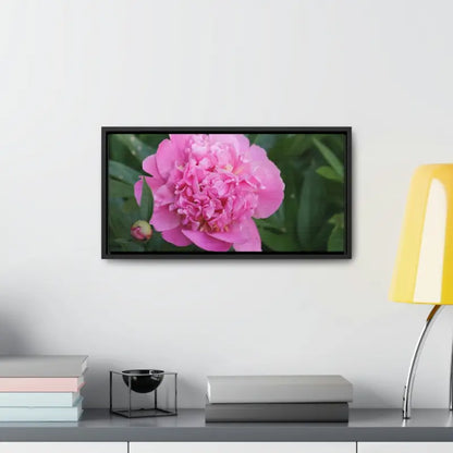 Transform your Space with Pink Peony Gallery Canvas Wraps