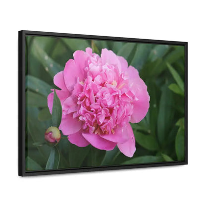 Transform your Space with Pink Peony Gallery Canvas Wraps