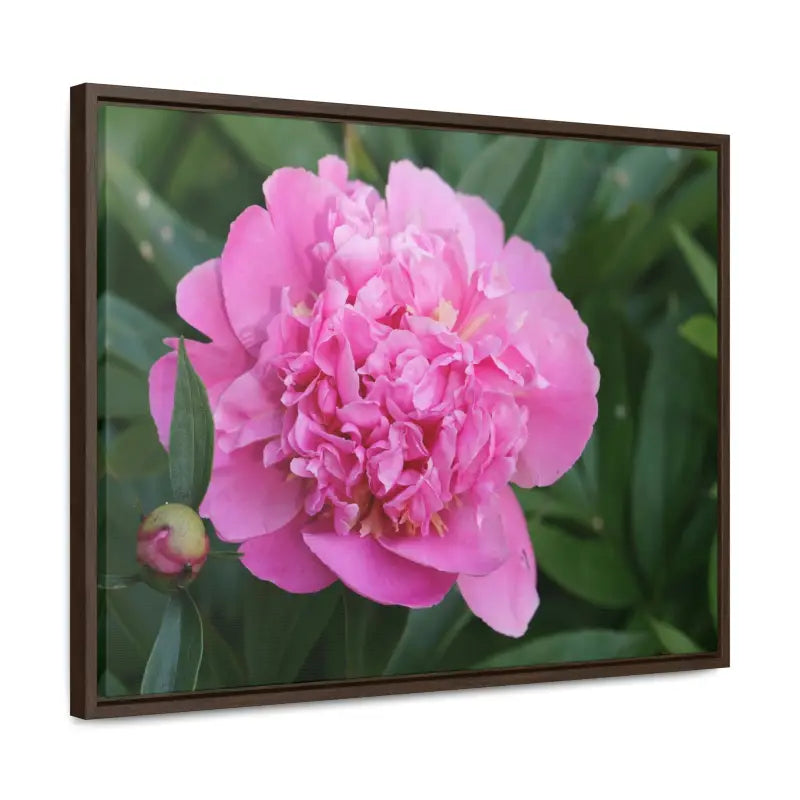 Transform your Space with Pink Peony Gallery Canvas Wraps