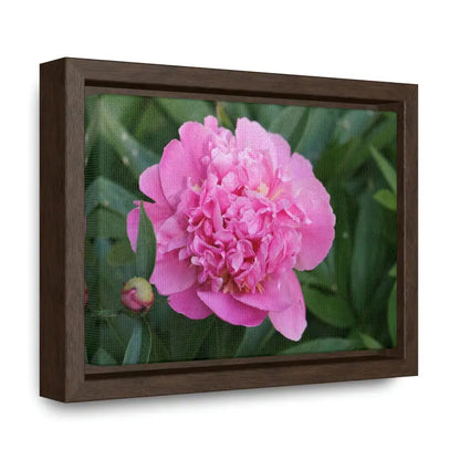 Transform your Space with Pink Peony Gallery Canvas Wraps