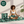 Tropical Bundle – Earthy Botanical