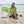 Tropical Hibiscus Beach Towel – Cotton Backing - Dipaliz - Towels