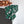 Gym Bundle #4 - Tropical Monstera Collection