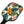 Tropical Themed Pickleball Kit - Summer Play - Dipaliz