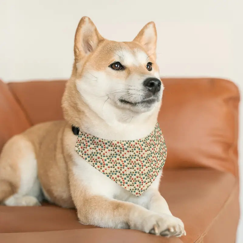 Transform your Pet’s Look with a Stylish Bandana Collar - m Pets