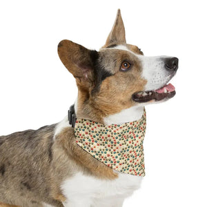 Pet Bandana Collar - Stylish Furry Fashion Accessory - Dipaliz - Xl - Collars & Harnesses
