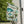 Underwater Wonders Banner – Poly Poplin Canvas - Dipaliz - Flags & Windsocks