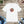 Soft Cotton Aum T-shirt - Paint Splash Short Sleeve Tee - Dipaliz - T-shirts