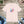 Soft Cotton Short Sleeve Tee - Lovebirds Forever - Dipaliz - T-shirts