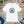 Soft Cotton Unisex Jersey Short Sleeve Tee - Shiva - Dipaliz - T-shirts