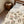 Velveteen Plush Blanket, Cozy Woodland Raccoon & Mushroom Throw - Blankets