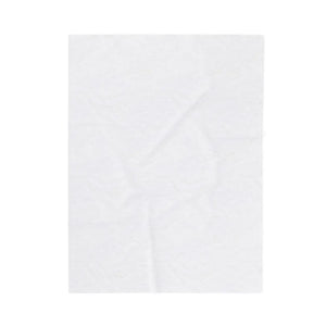 Velveteen Plush Blanket, Cozy Woodland Raccoon & Mushroom Throw - Blankets