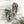 Vibrant Stripes Flip Flops - Cushioned Footbed Summer - Dipaliz - Slippers
