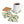 Vibrant Cork Coaster Lemon Ice Cubes Set - Dipaliz - Coasters