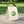 Vibrant Peacock Design Lunch Bag - Natural Cotton - Dipaliz - Bags