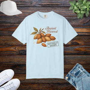 Vintage Almond Graphic Organic Cotton Tee - Eco Chic Style - Dipaliz - Chambray / s - T-shirts
