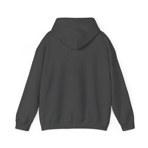 Plush Heavy Blend Hooded Sweatshirt - Cold Days - Dipaliz - Sweatshirts
