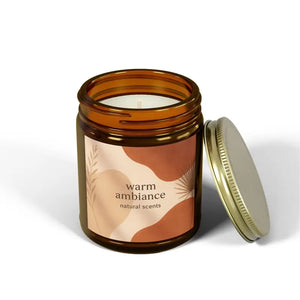 Coconut Apricot Wax Scented Candles Cozy Vibes Dipaliz