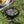 Abstract Wham o Frisbee - Outdoor Fun Plastic - Dipaliz - Games