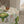 Quality Whimsical Tablecloth – Bright Dining - Dipaliz - Tablecloths