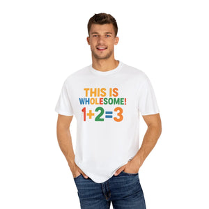Playful Math Humor Tee - 100 Percent Ring-spun - Dipaliz - T-shirts