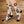 Cozy Mocha Latte Crew Socks - Festive Winter Style - Dipaliz