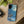 Moonlit Wolf Design Phone Case - Bold Wild Style - Dipaliz - Mobile Cases