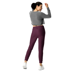 Women’s Plum Jogger Pants with Multicolor Side Stripe | Track Joggers - s