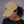 Camo Cotton Dad Hat - Curved Visor Adjustable Strap - Dipaliz - Hats