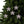 Holly Leaves Ceramic Ornaments – Christmas Decor - Dipaliz - Holiday