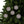 Holly Leaves Ceramic Ornaments – Christmas Decor - Dipaliz - Holiday
