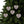 Holly Leaves Ceramic Ornaments – Christmas Decor - Dipaliz - Holiday