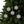 Holly Leaves Ceramic Ornaments – Holiday Decor - Dipaliz