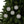Holly Leaves Ceramic Ornaments – Holiday Decor - Dipaliz
